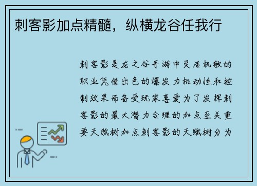 刺客影加点精髓，纵横龙谷任我行
